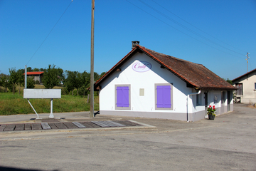 Image - Cindy_photo.jpg