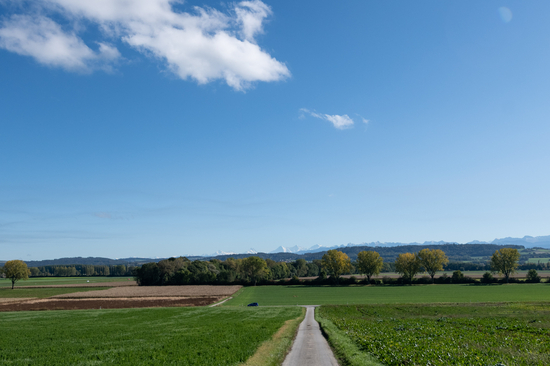 Image - VueAlpesCheminRemaniement6258.jpg