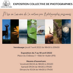 Image - expo_photo_infos.jpg