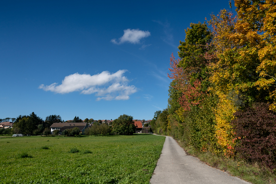 Image - BalladeAutomne_6284.jpg